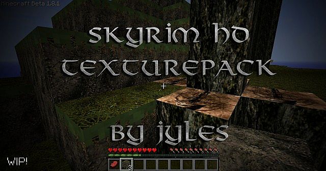 Skyrim-texture-pack-HD-256x256-minecraft-bois