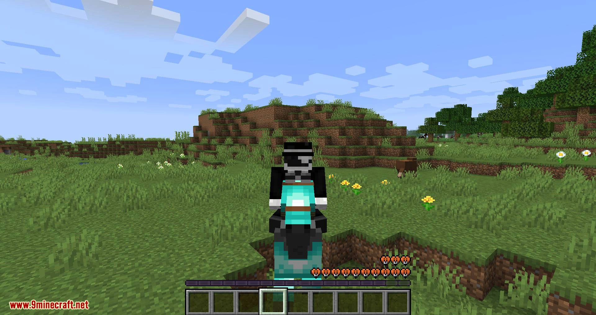 Horse Stats Vanilla mod for minecraft 06