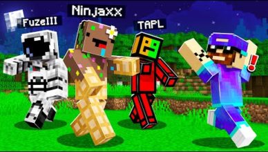 minecraft mais tous les mobs sont des youtubeurs