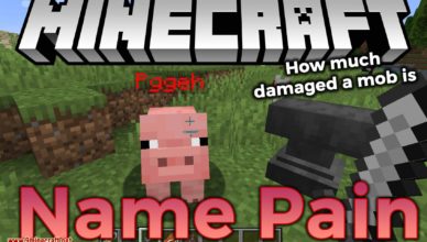 name pain mod 1 17 1 1 16 5 how much damaged a mob is