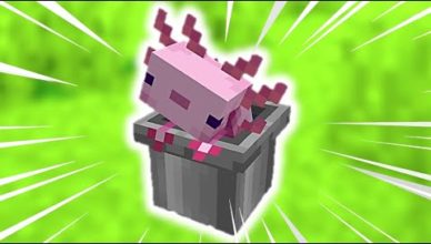 nouveau un axolotl geant dans minecraft 1 17 shorts