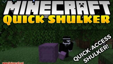 quick shulker mod 1 17 1 1 16 5 1 click open