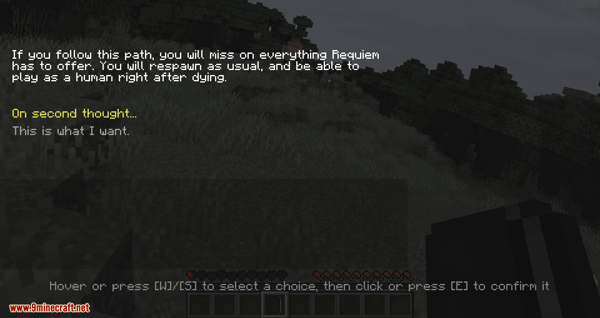 Requiem mod for minecraft 05