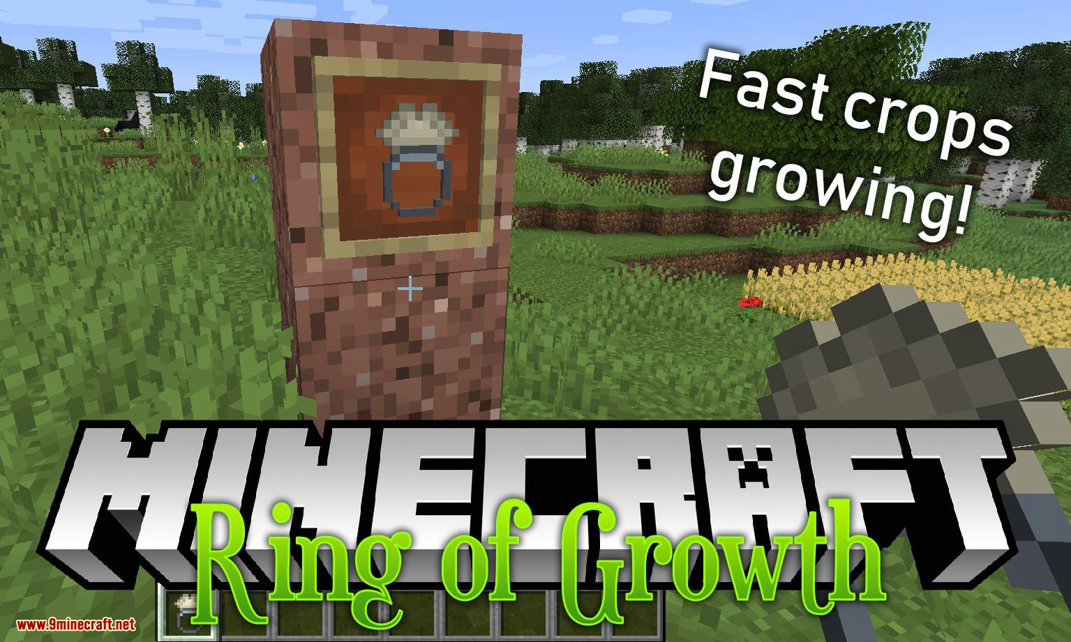 Growth mod. 1 Название майнкрафт. Ускоритель роста для растений Minecraft. Мод ingame1.12.2. Мод на рост 1.16.5.