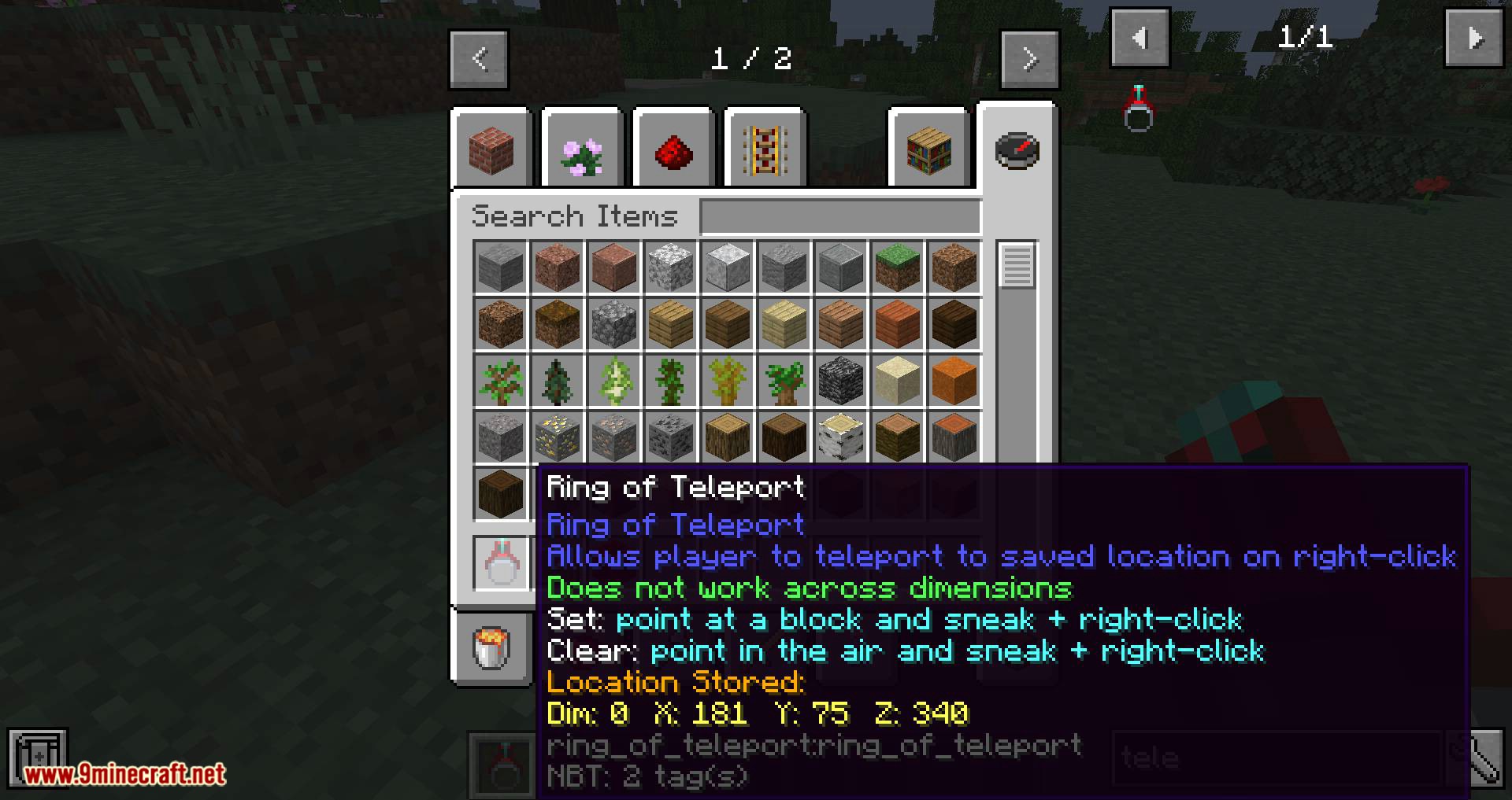 Ring of Teleport mod for minecraft 09