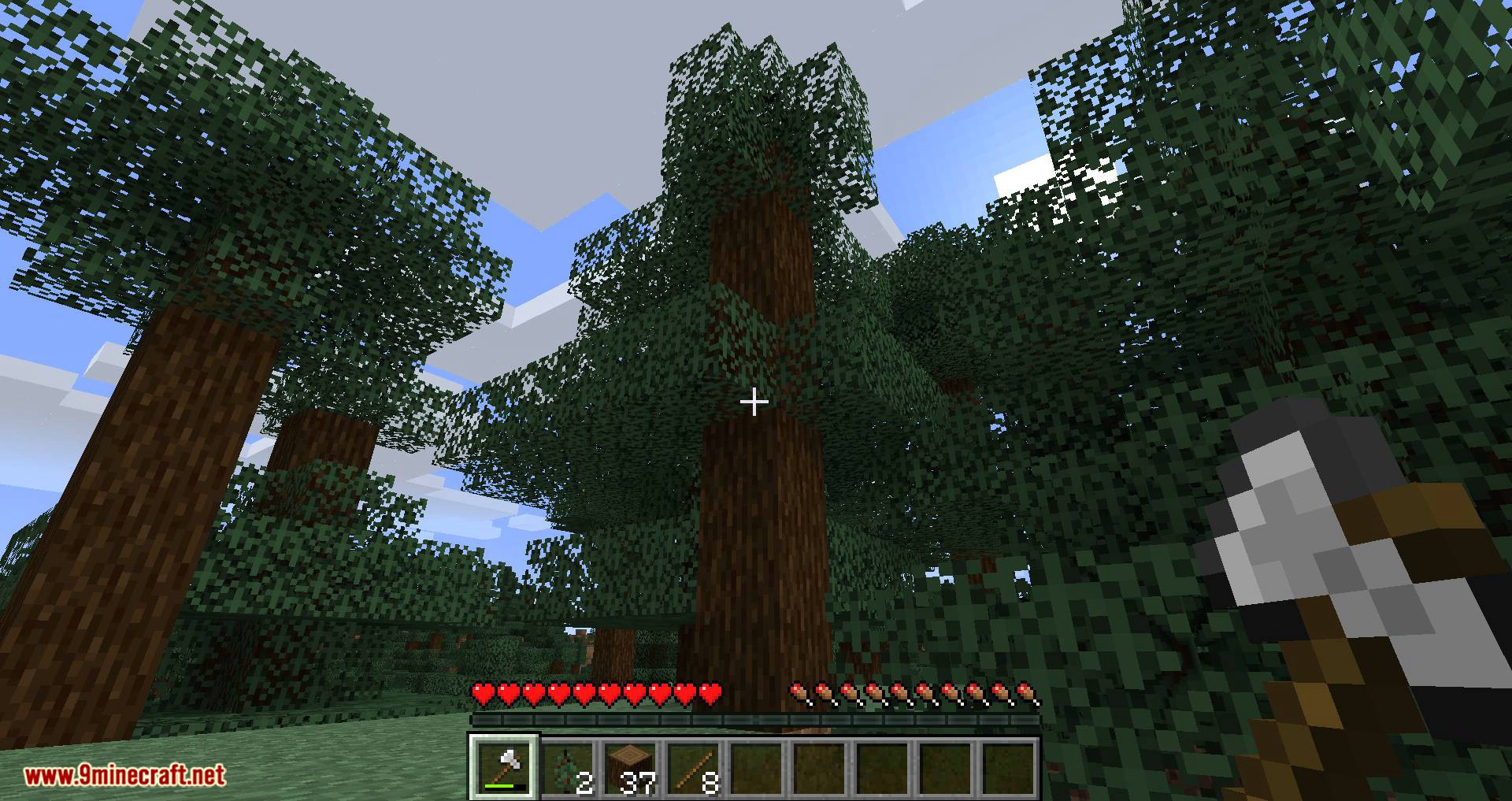 Dynamic trees 1.20. Tree Chopper 1.12.2. Tree Harvester 1.12.2. Tree Chopper 1.16.5. Мод 1 12 2 Tree Chopper.