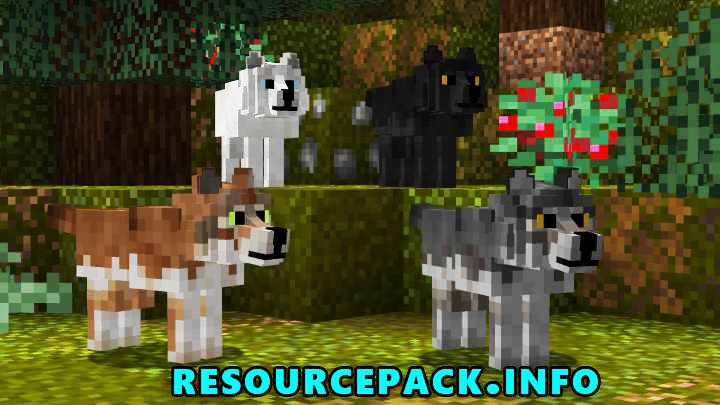 Better Dogs 1.10.2