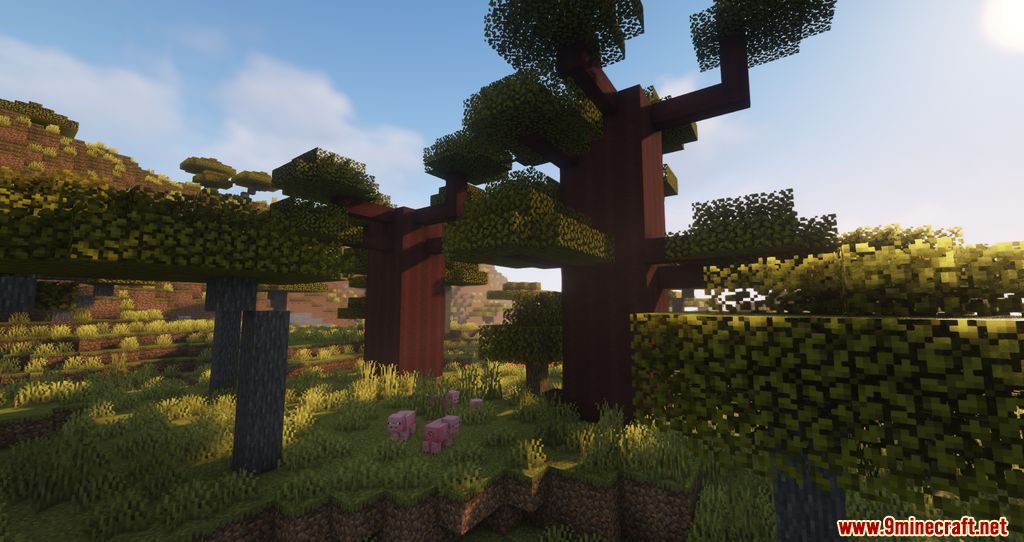 Biome Enhancements Mod screenshots 06