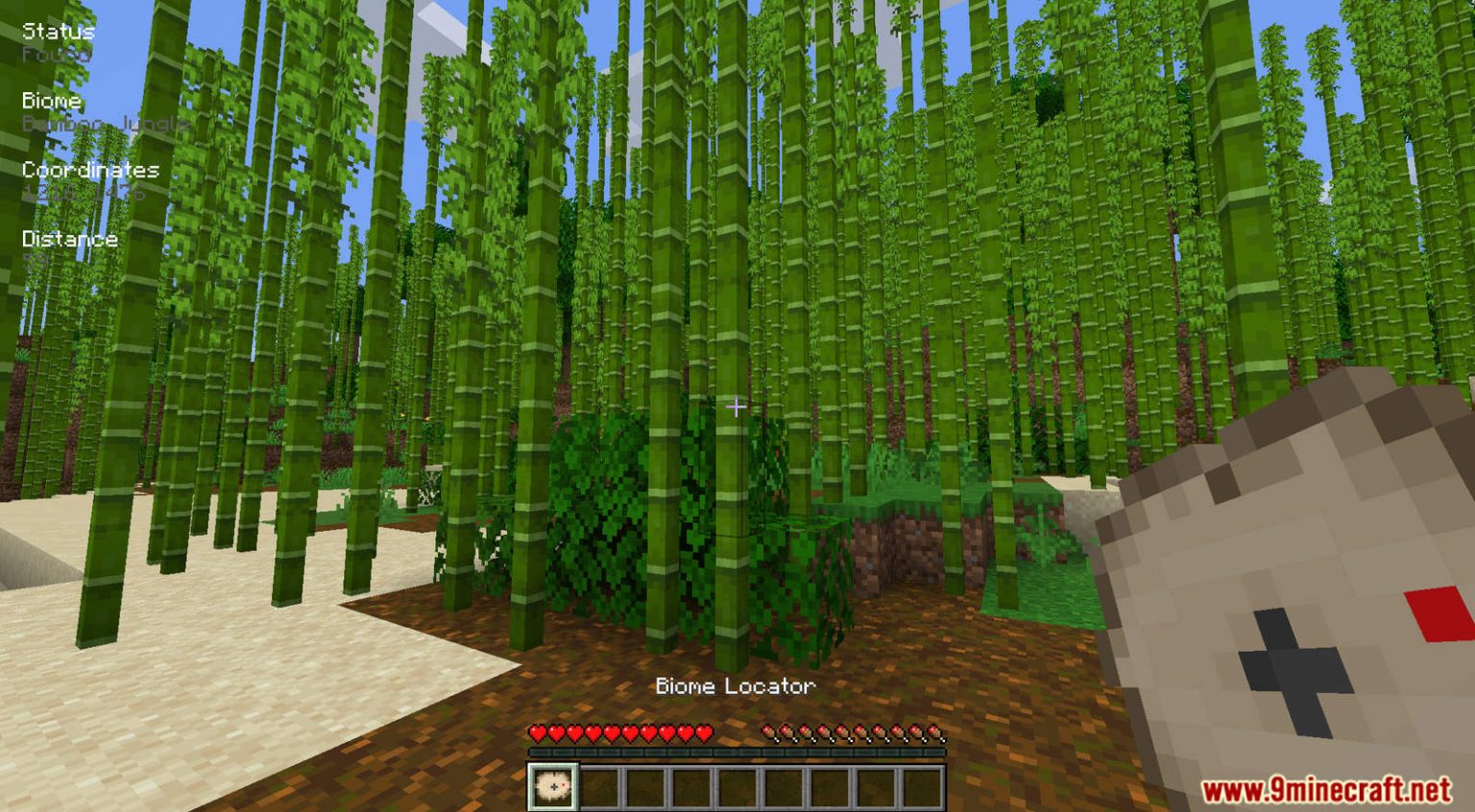 Biome Locator Mod 1.17.1 Compass for Biomes Minecraft 