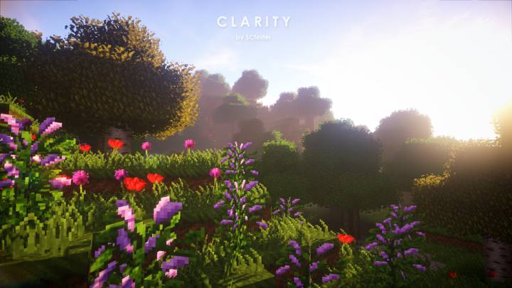 Clarity 1.12.2