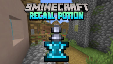 error 442s recall potion data pack 1 17 1 teleportation potion