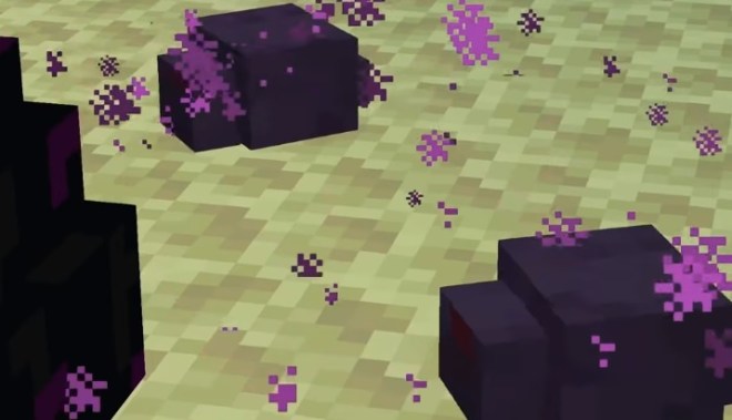 They endermite be the one #minecraft #minecraftmobs #minecrafttips