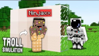 jai trolle ninjaxx avec un mod de simulation minecraft
