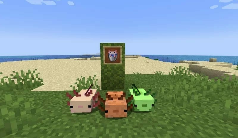 Minecraft Live 16x Resource Pack 1.18 3