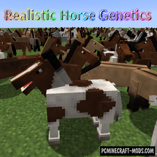 Realistic Horse Genetics - Tweak Mod For MC 1.16.5, 1.12.2