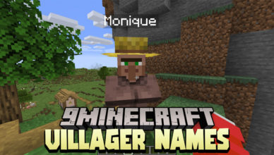 villager names data pack 1 17 1 name for villlagers