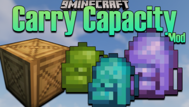 carry capacity mod 1 16 5 inventory management