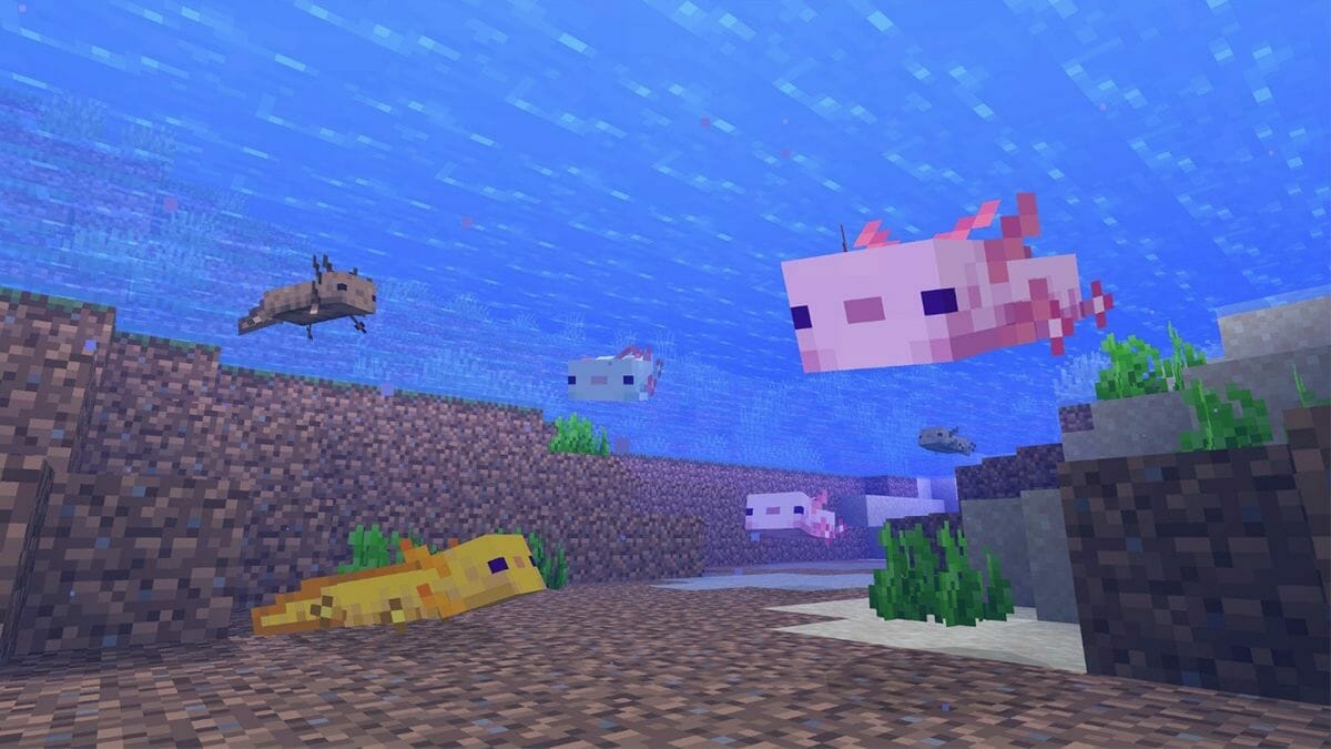 Dish Soap Brand Tries to Save Marine Mammals with Minecraft - 3