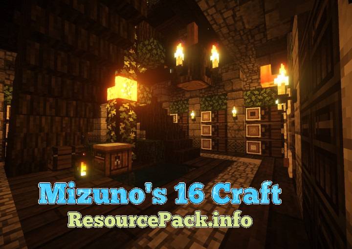 Mizuno's 16 Craft 1.11.2