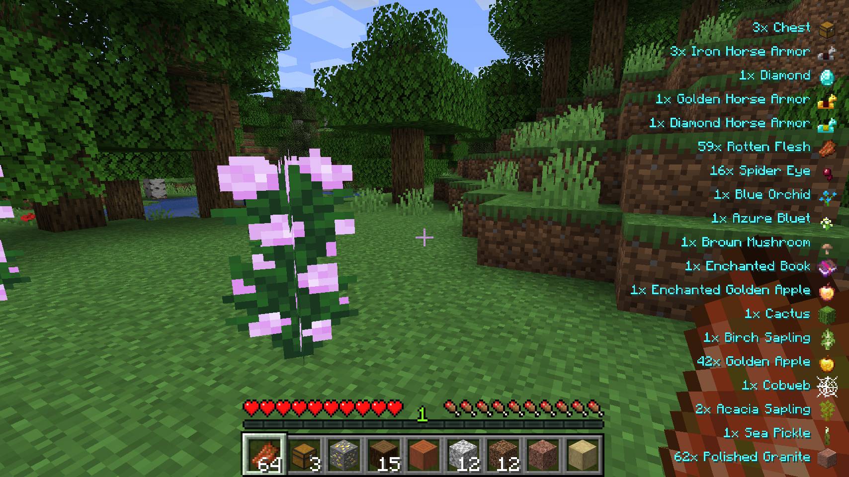 Pick Up Notifier mod for minecraft 24