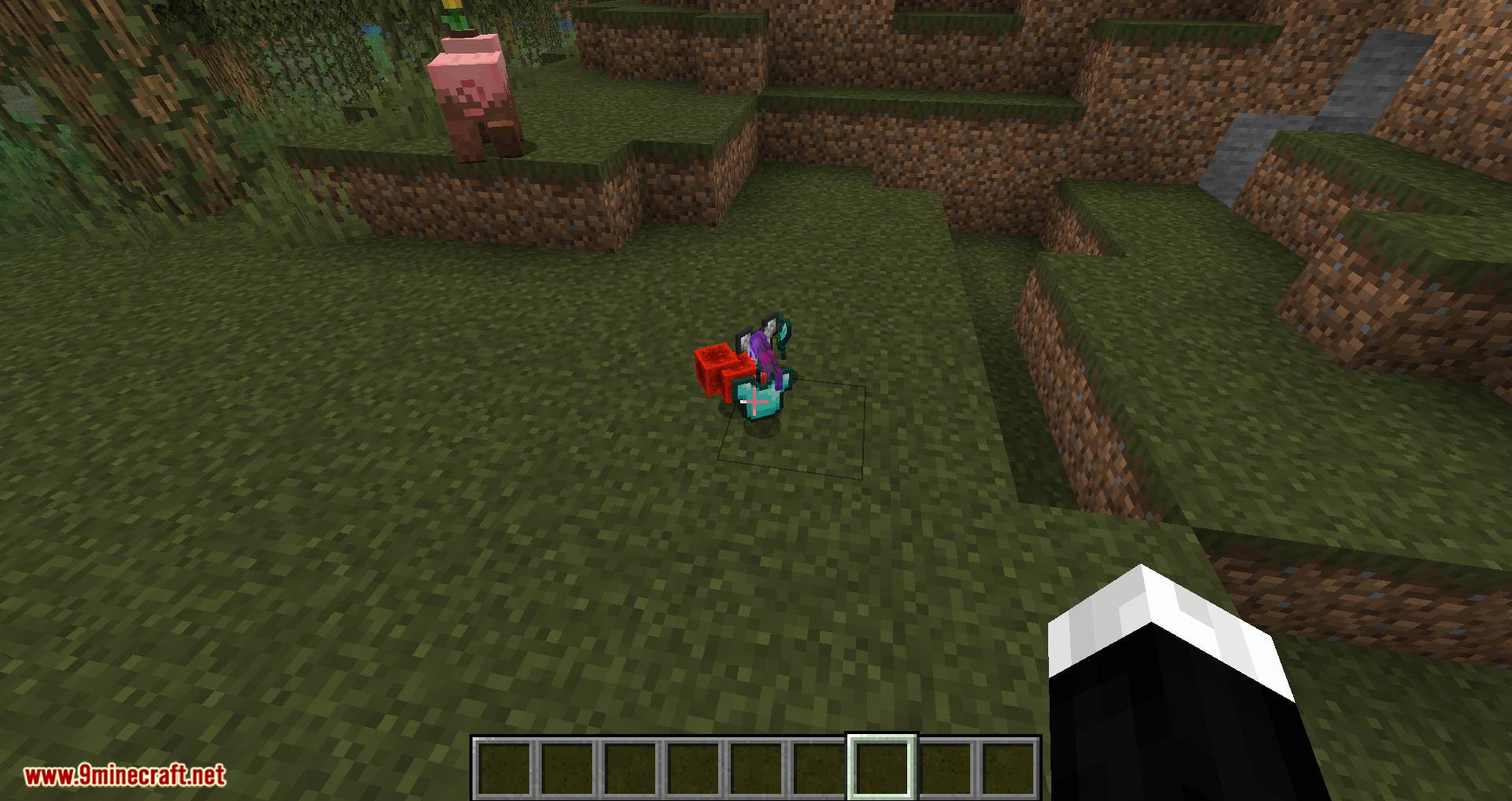 Pick Up Notifier mod for minecraft 02