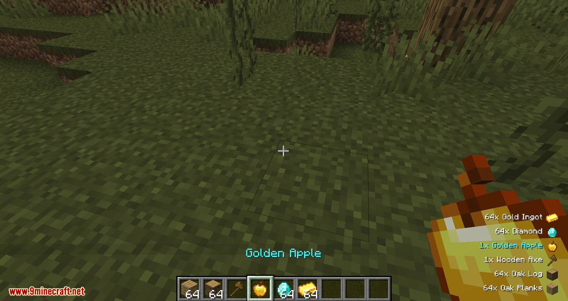 Pick Up Notifier mod for minecraft 05