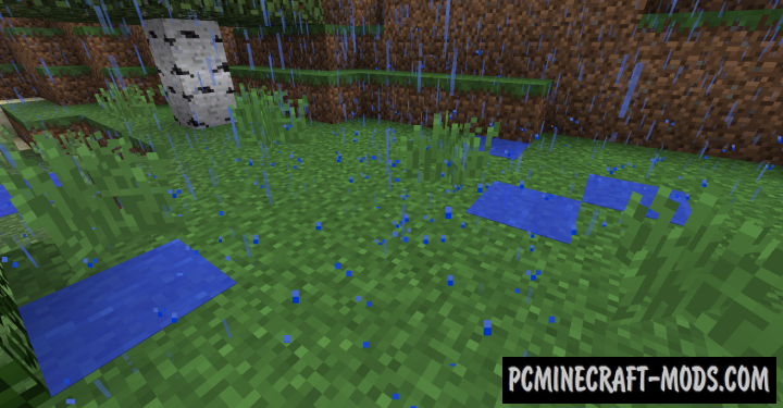Puddles - Realistic Weather Shader Mod For MC 1.16.5, 1.15.2, 1.12.2