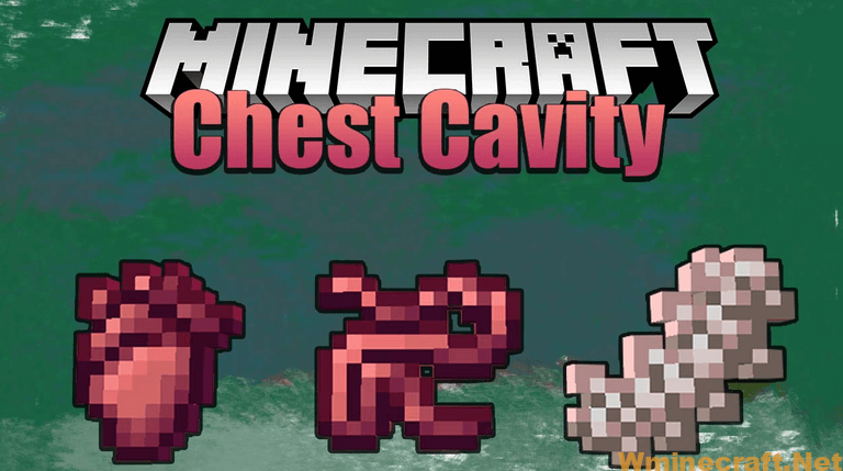 Chest Cavity Mod