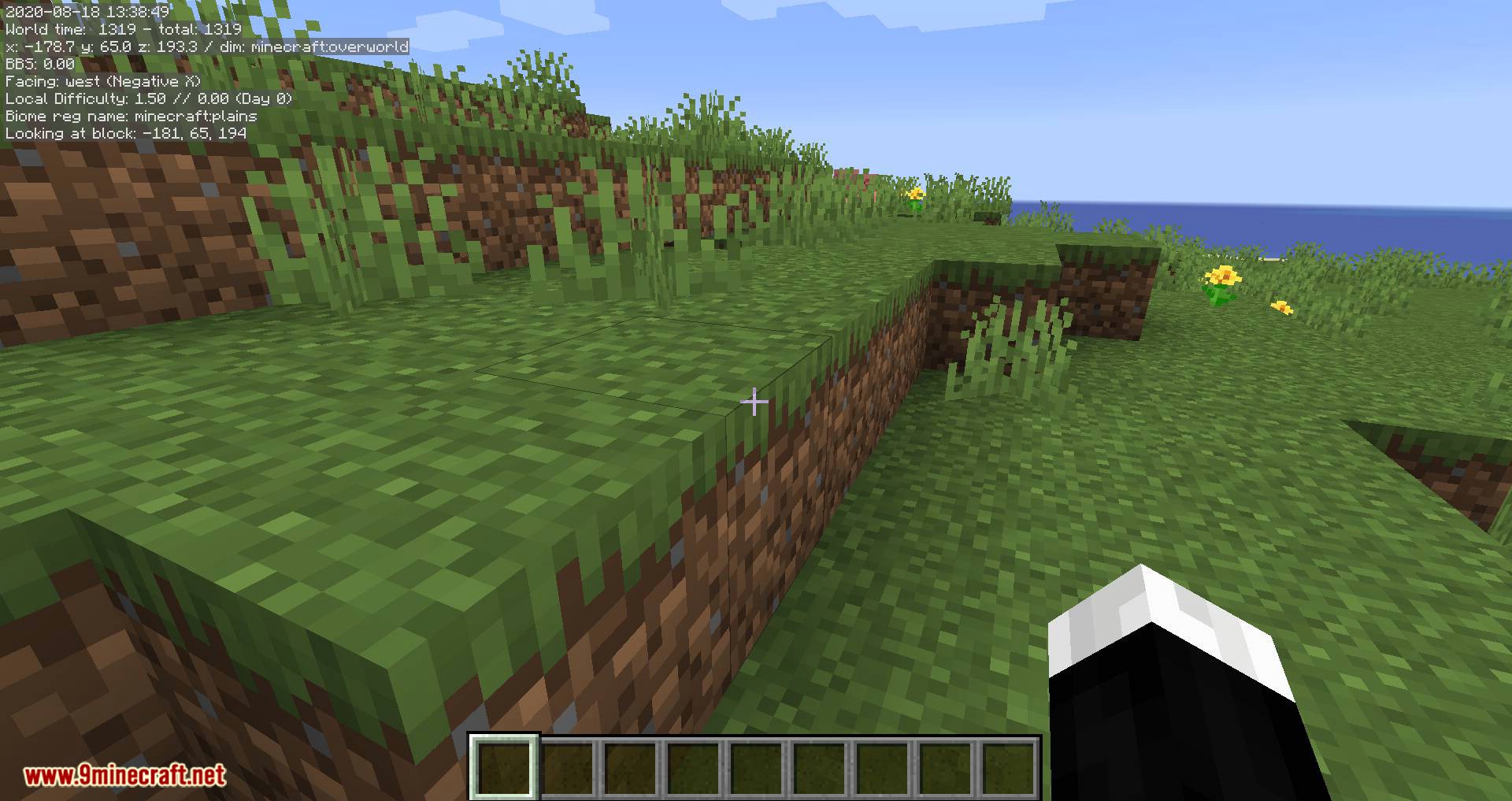 MiniHUD mod for minecraft 05