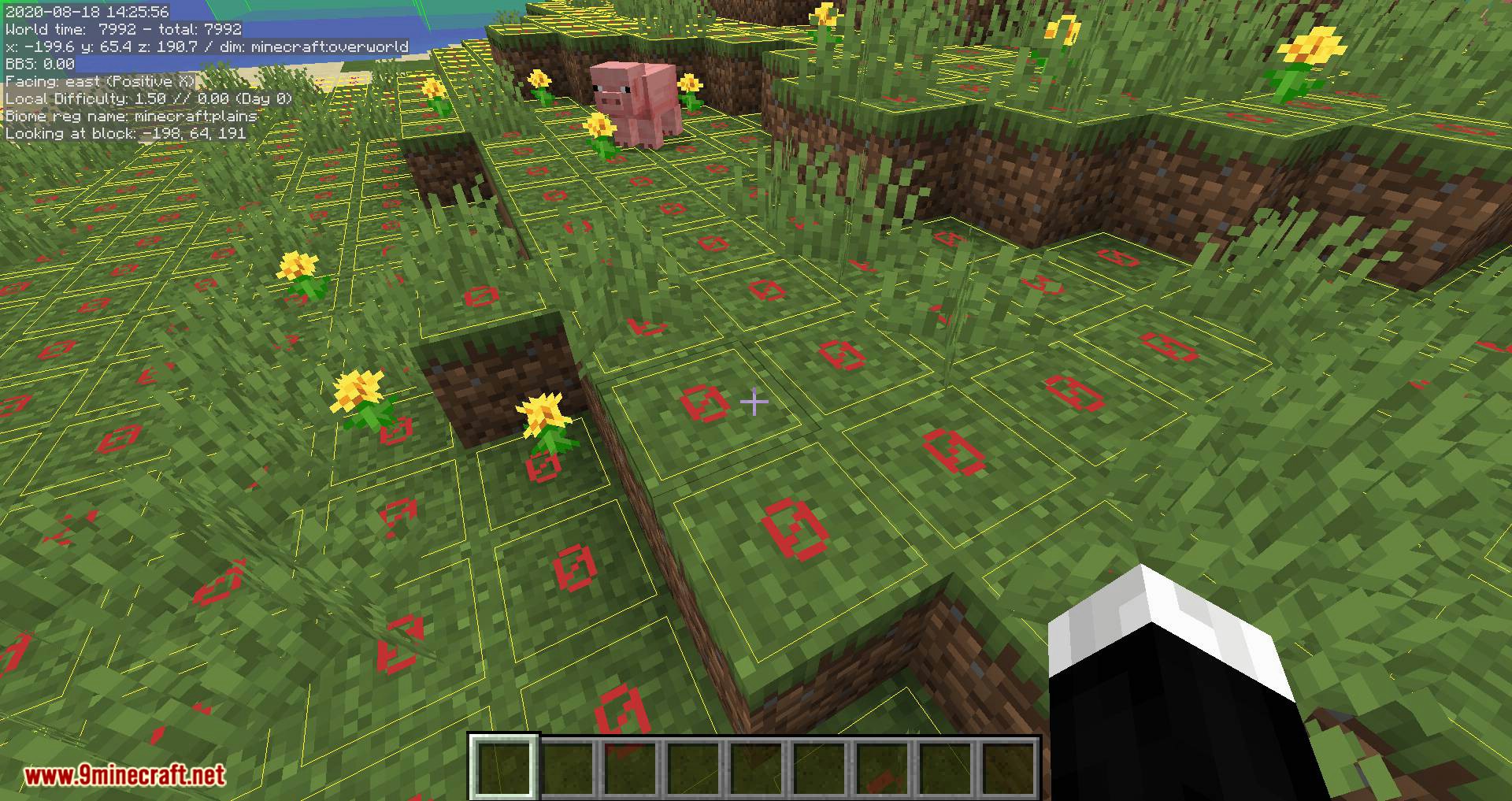 MiniHUD mod for minecraft 07