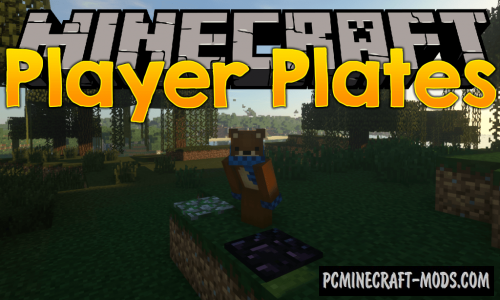 Player Plates - New Blocks Mod For Minecraft 1.17.1, 1.16.5, 1.15.2