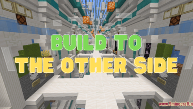 build to the other side map 1 17 1 for minecraft