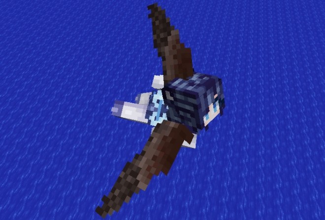 Elytra Eagle Wings 1