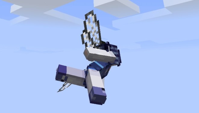 Elytra Dragon Fly Wing