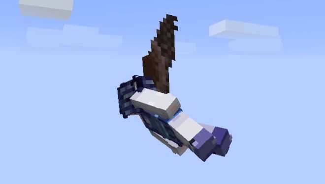 Elytra Eagle Wings