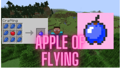 apple of flying mod 1 17 1 fly with ease in minecraft