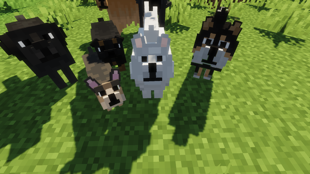 Better Dogs Resource Pack Screenshots 5