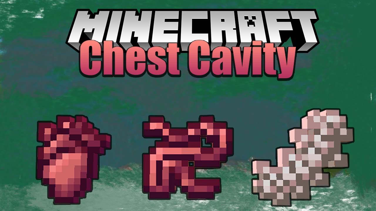 Chest Cavity Mod