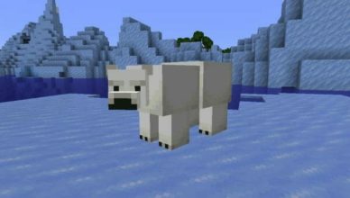 what do polar bears eat in minecraft